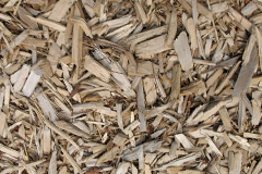 biomass boilers Kingledores